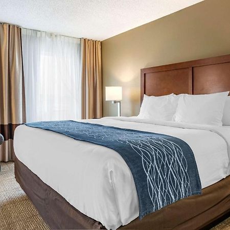 Comfort Inn & Suites Dimondale - Lansing Buitenkant foto