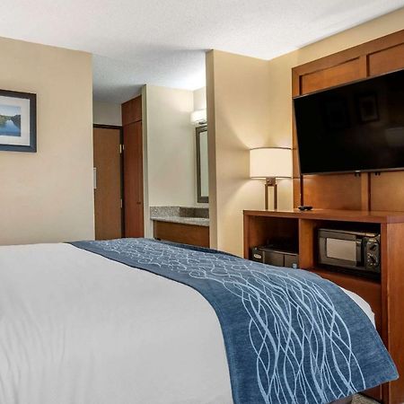 Comfort Inn & Suites Dimondale - Lansing Buitenkant foto