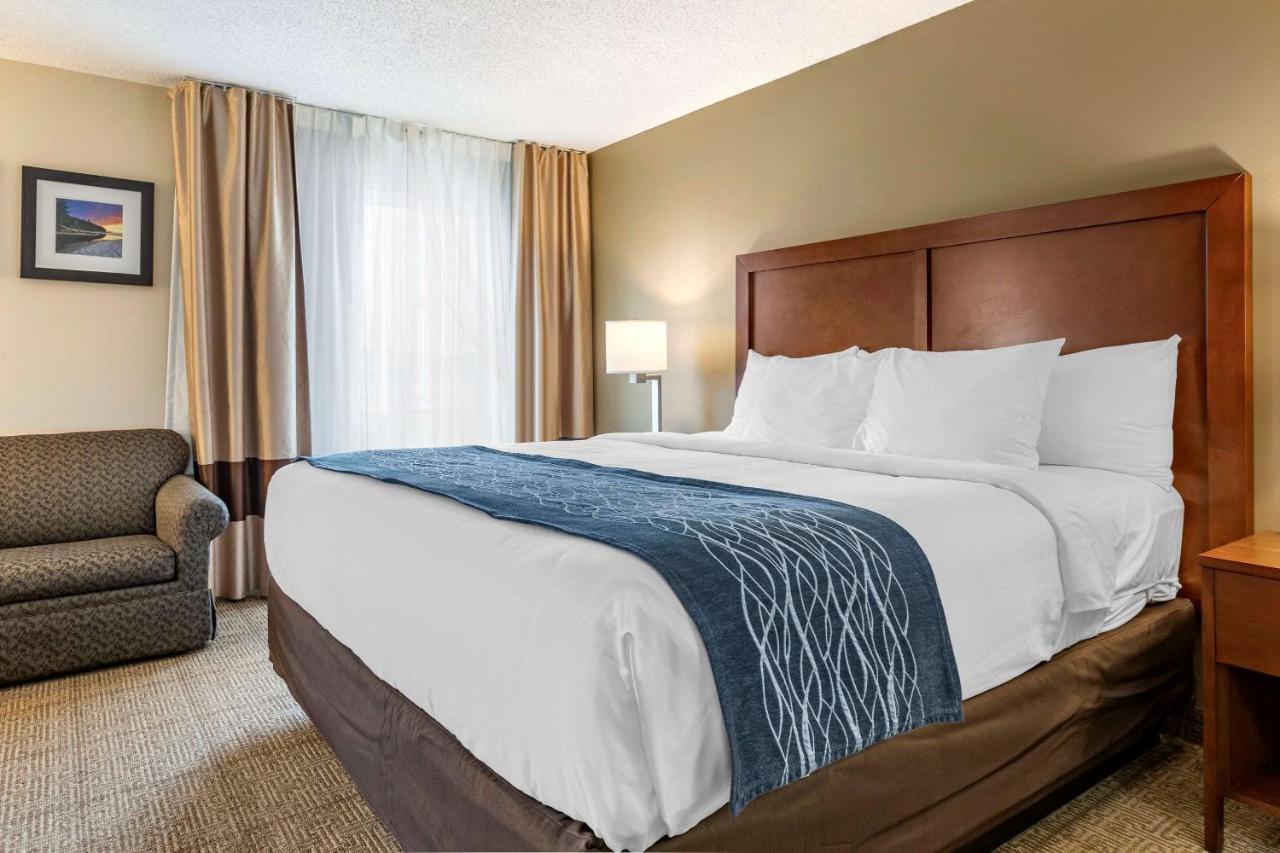 Comfort Inn & Suites Dimondale - Lansing Buitenkant foto