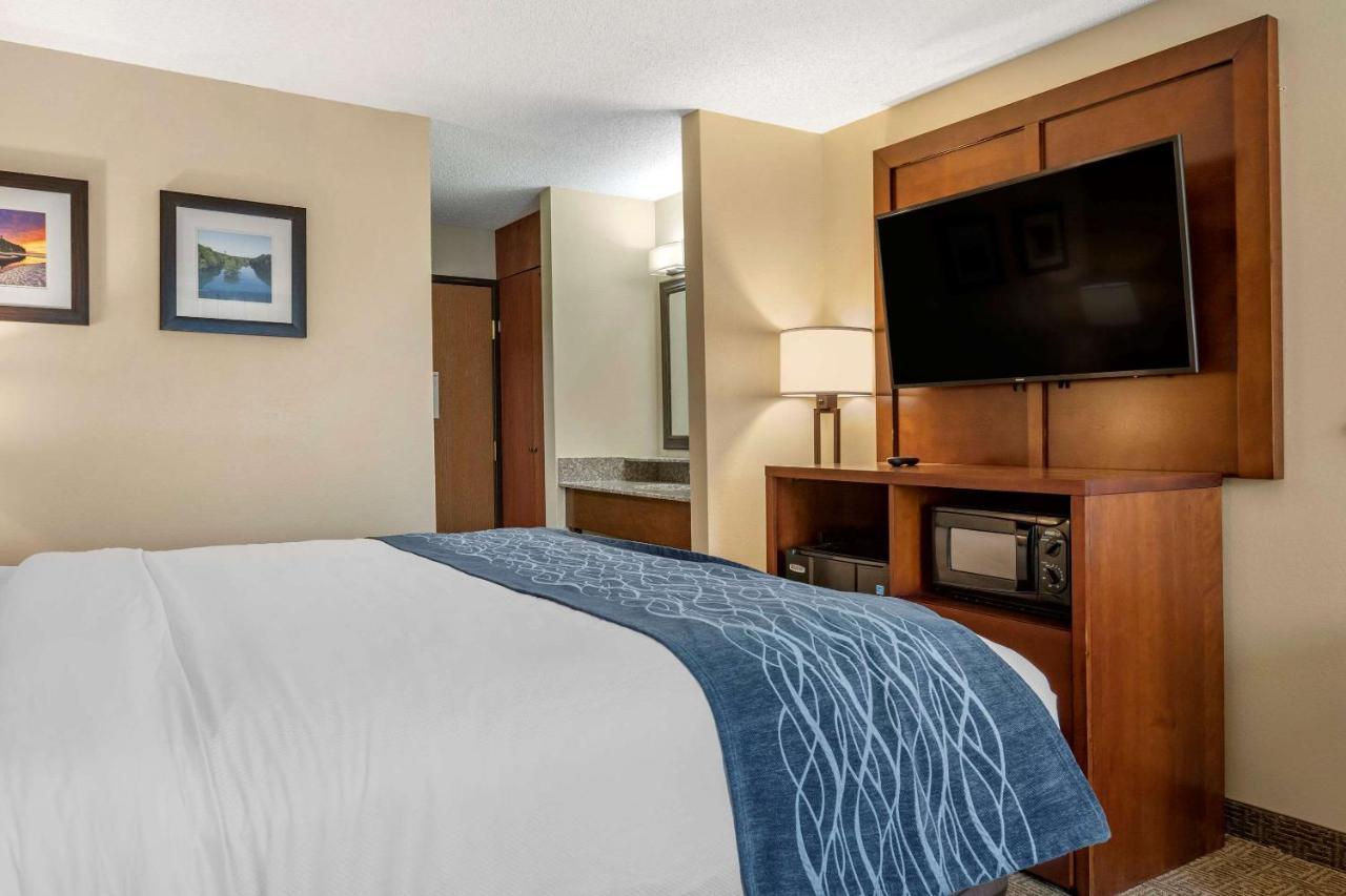 Comfort Inn & Suites Dimondale - Lansing Buitenkant foto