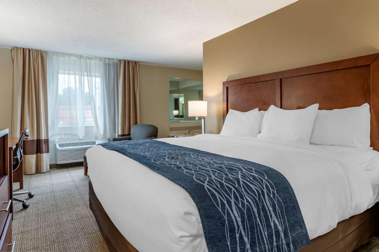 Comfort Inn & Suites Dimondale - Lansing Buitenkant foto