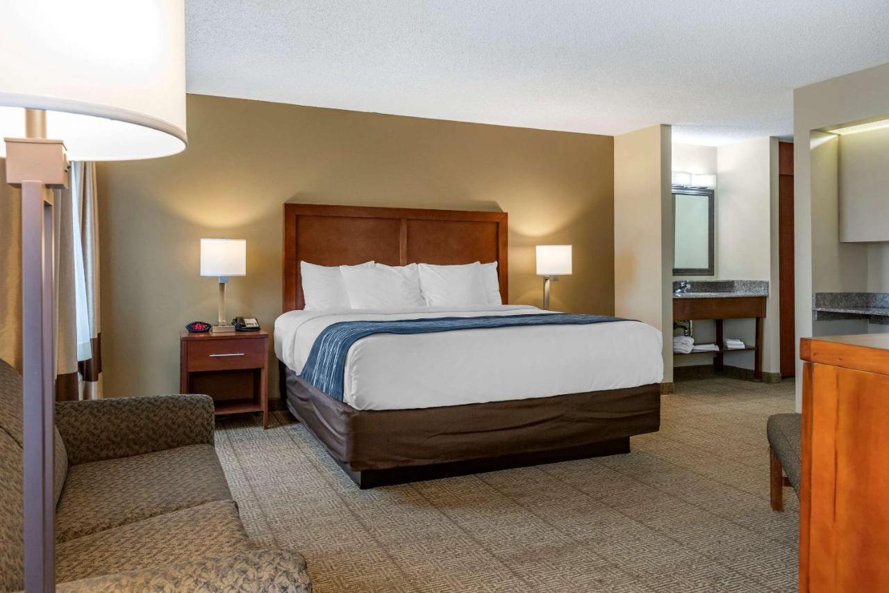 Comfort Inn & Suites Dimondale - Lansing Buitenkant foto