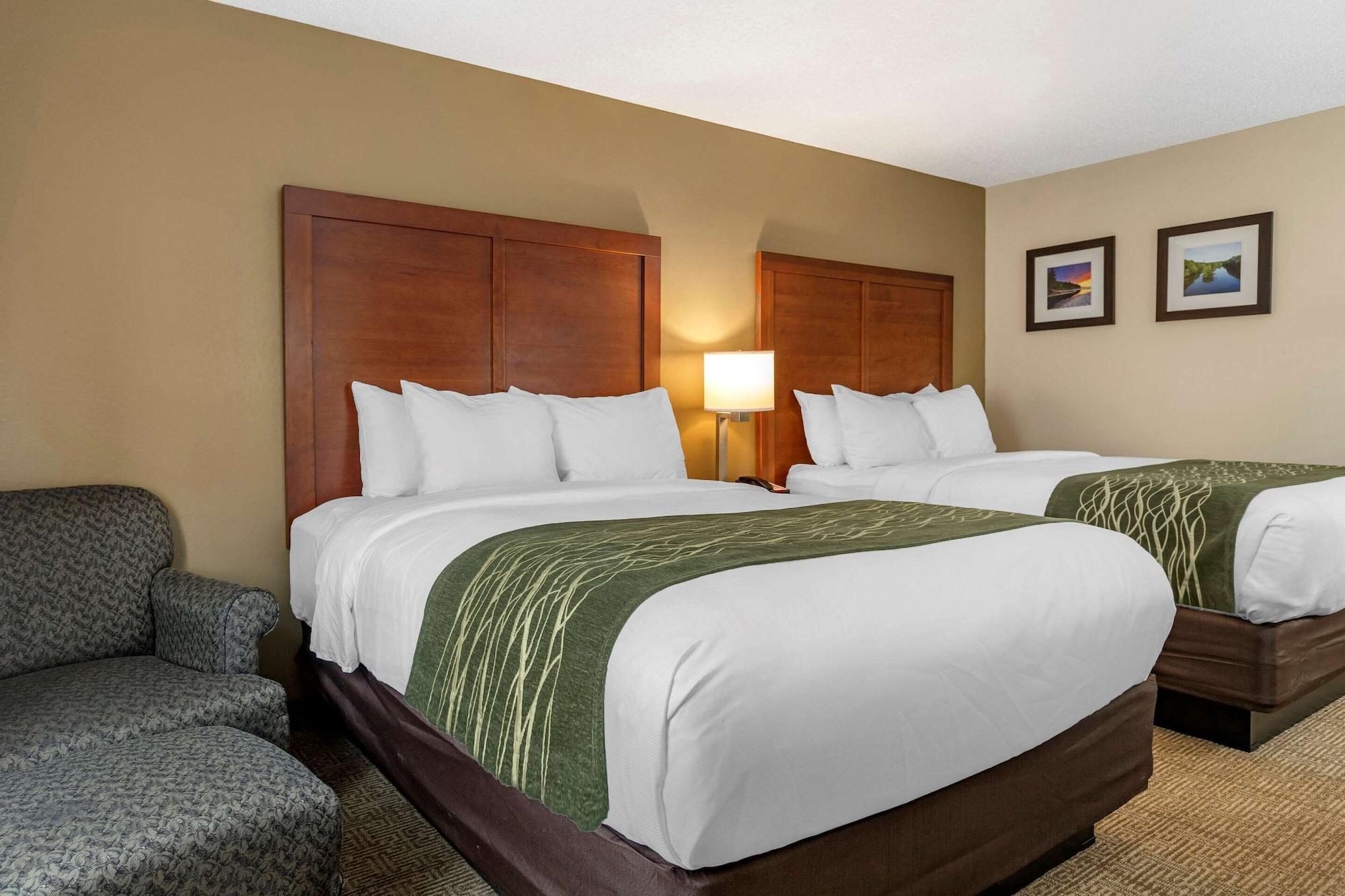 Comfort Inn & Suites Dimondale - Lansing Buitenkant foto