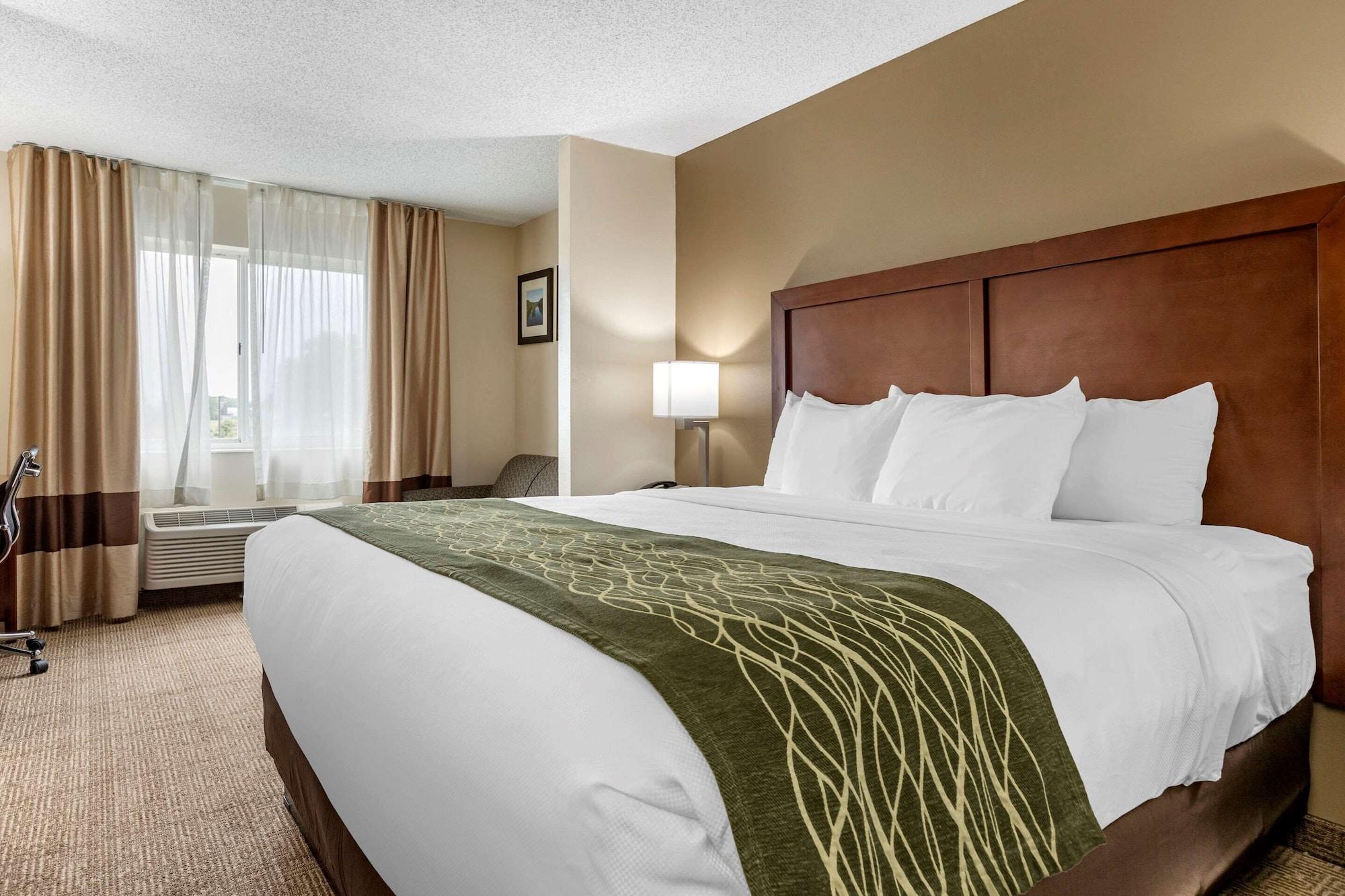 Comfort Inn & Suites Dimondale - Lansing Buitenkant foto