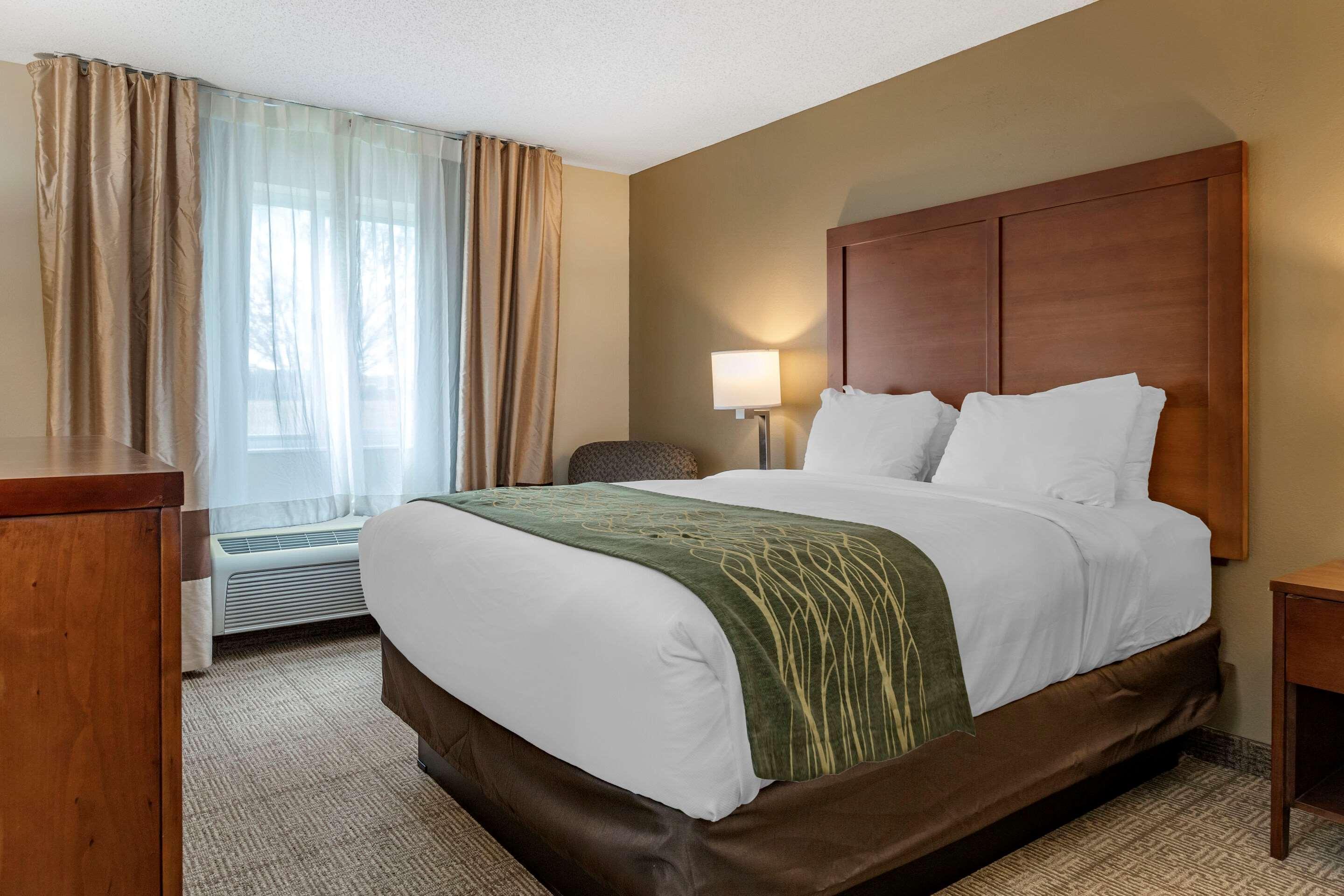 Comfort Inn & Suites Dimondale - Lansing Buitenkant foto