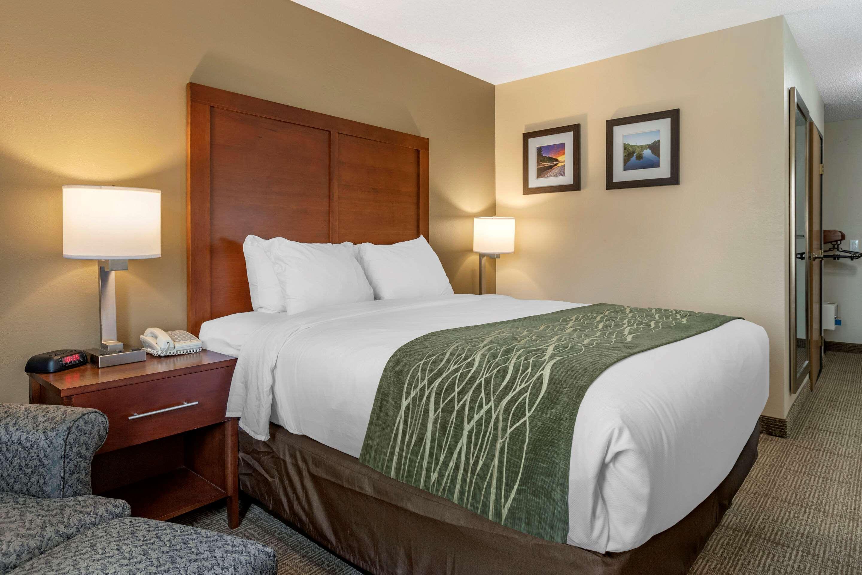 Comfort Inn & Suites Dimondale - Lansing Buitenkant foto