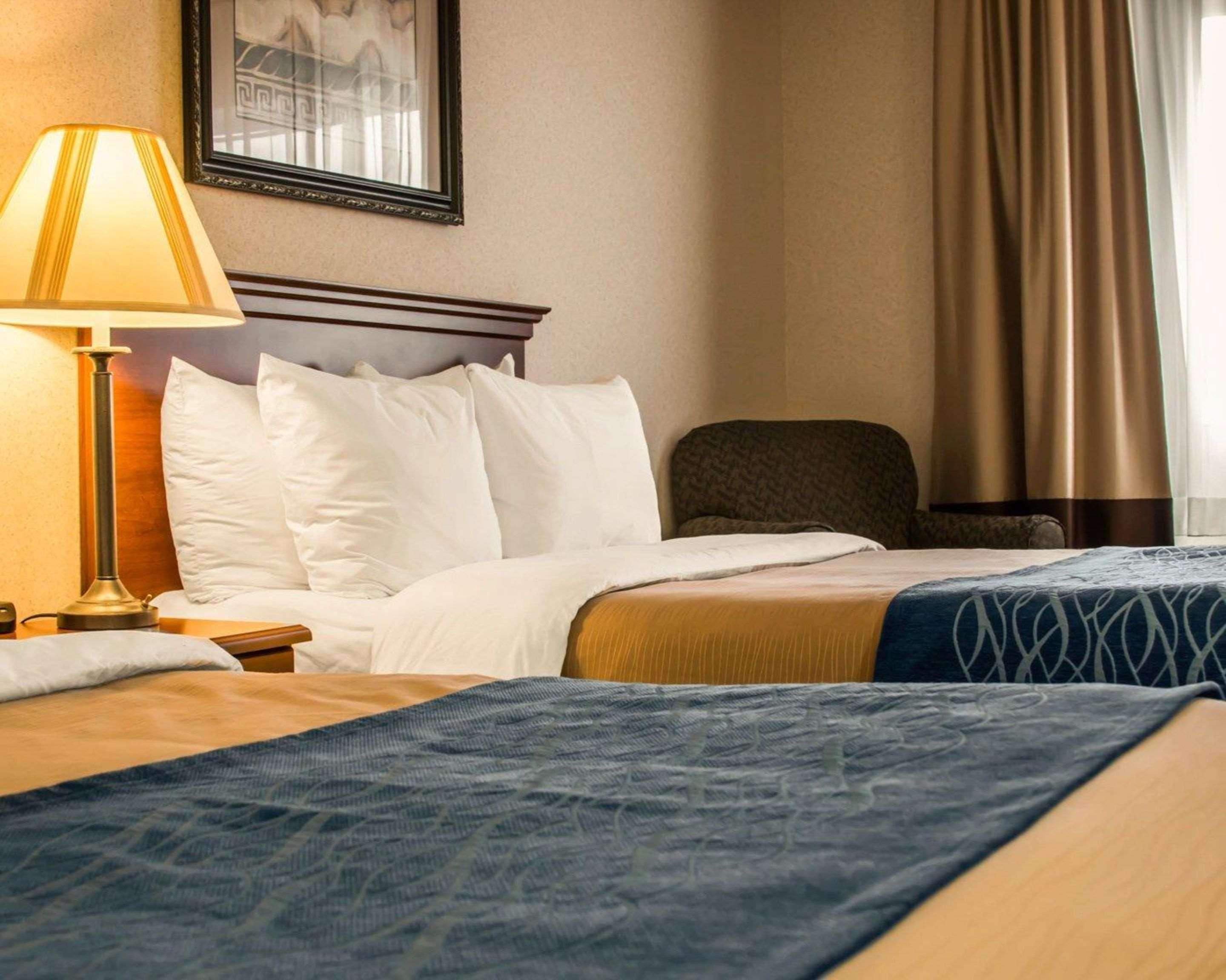 Comfort Inn & Suites Dimondale - Lansing Buitenkant foto