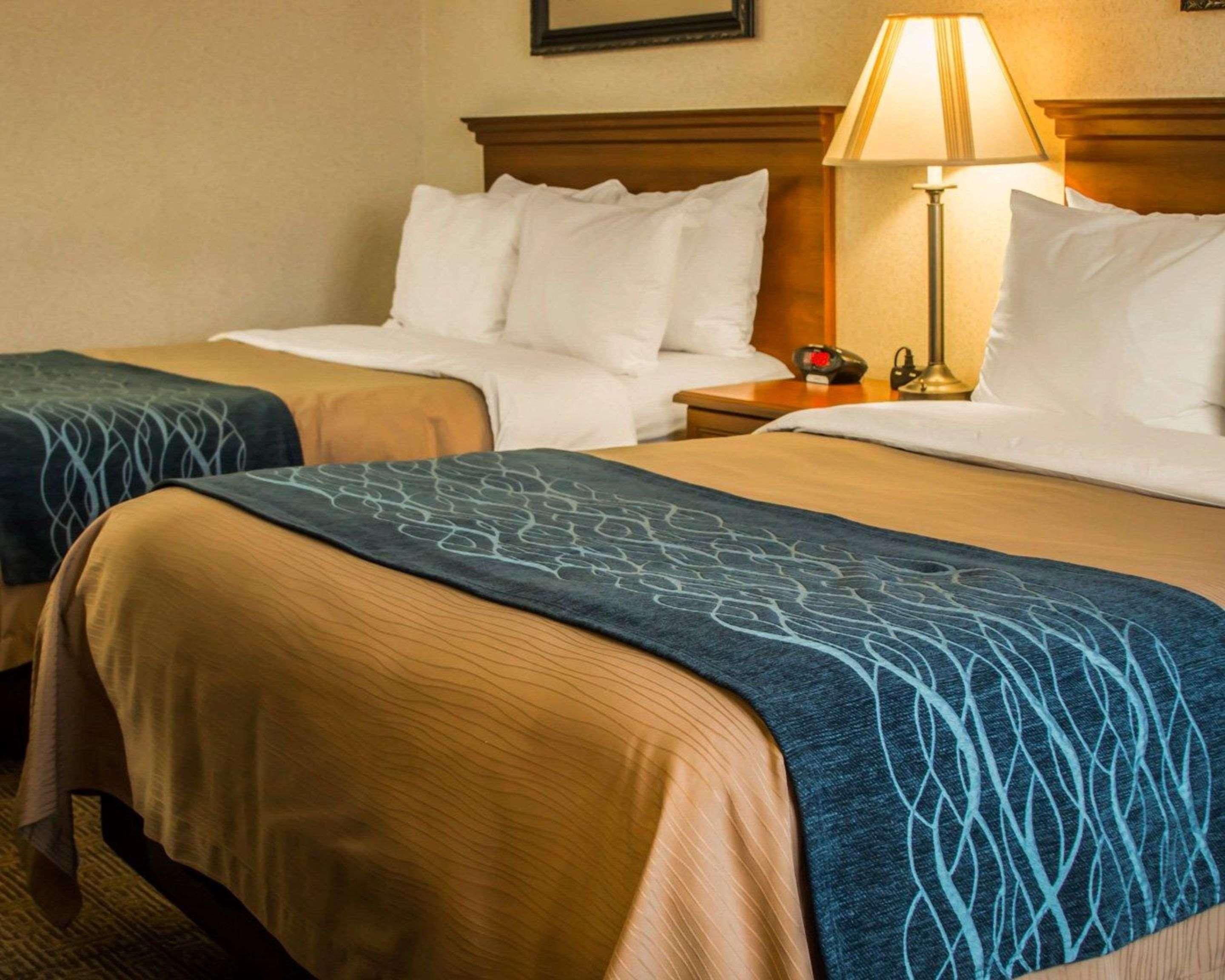 Comfort Inn & Suites Dimondale - Lansing Buitenkant foto