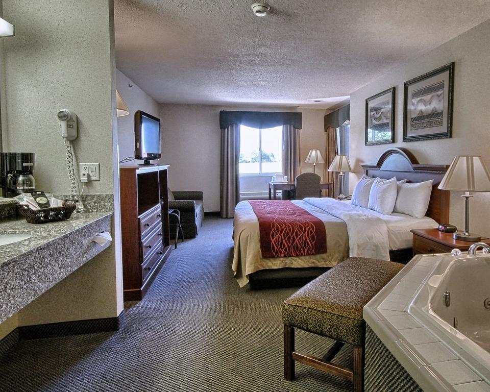 Comfort Inn & Suites Dimondale - Lansing Buitenkant foto