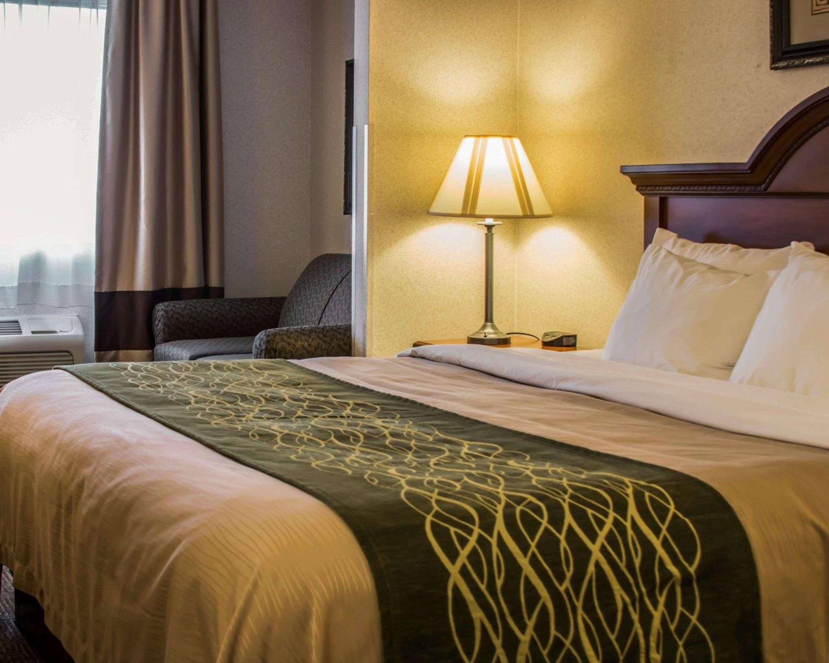 Comfort Inn & Suites Dimondale - Lansing Buitenkant foto