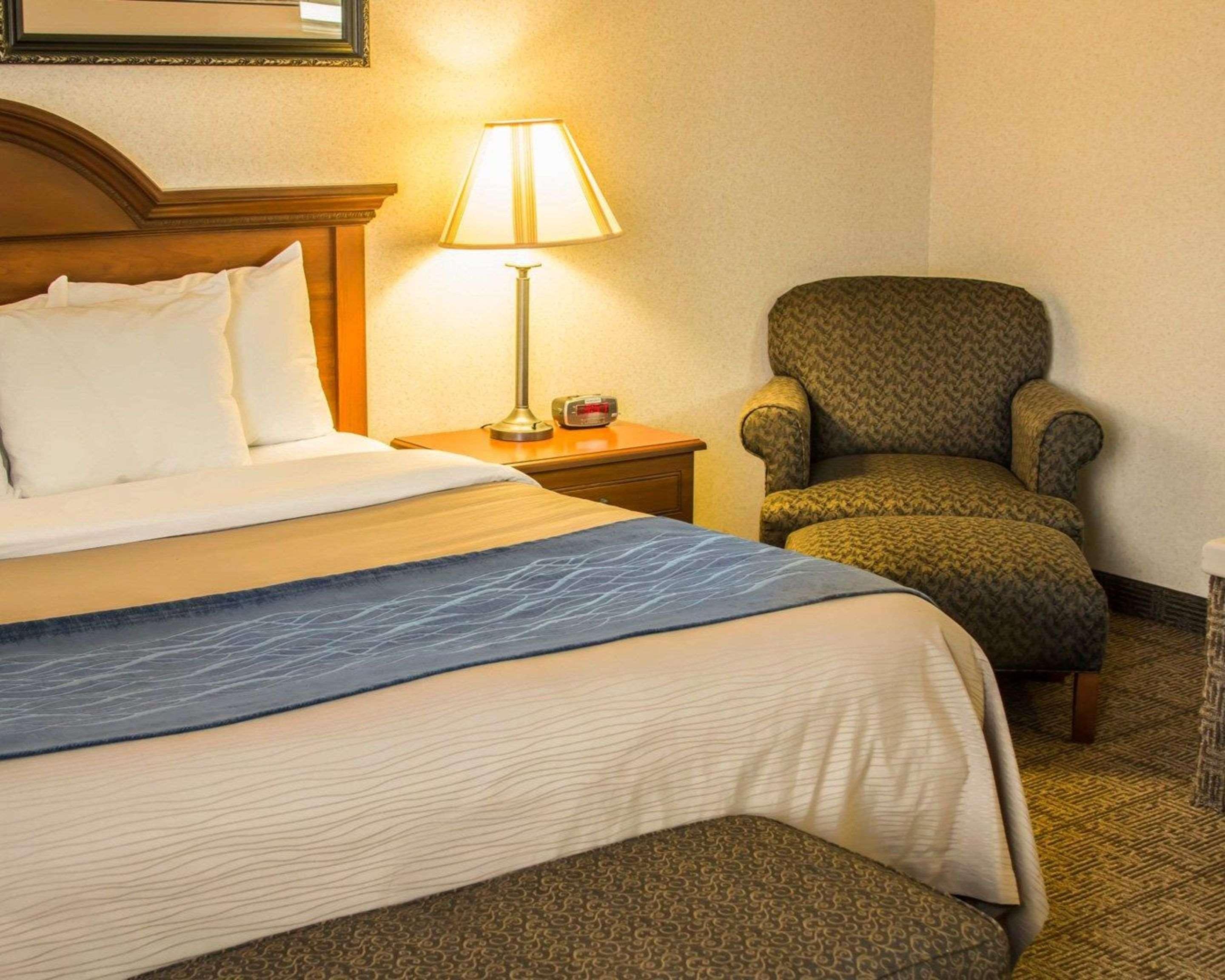 Comfort Inn & Suites Dimondale - Lansing Buitenkant foto