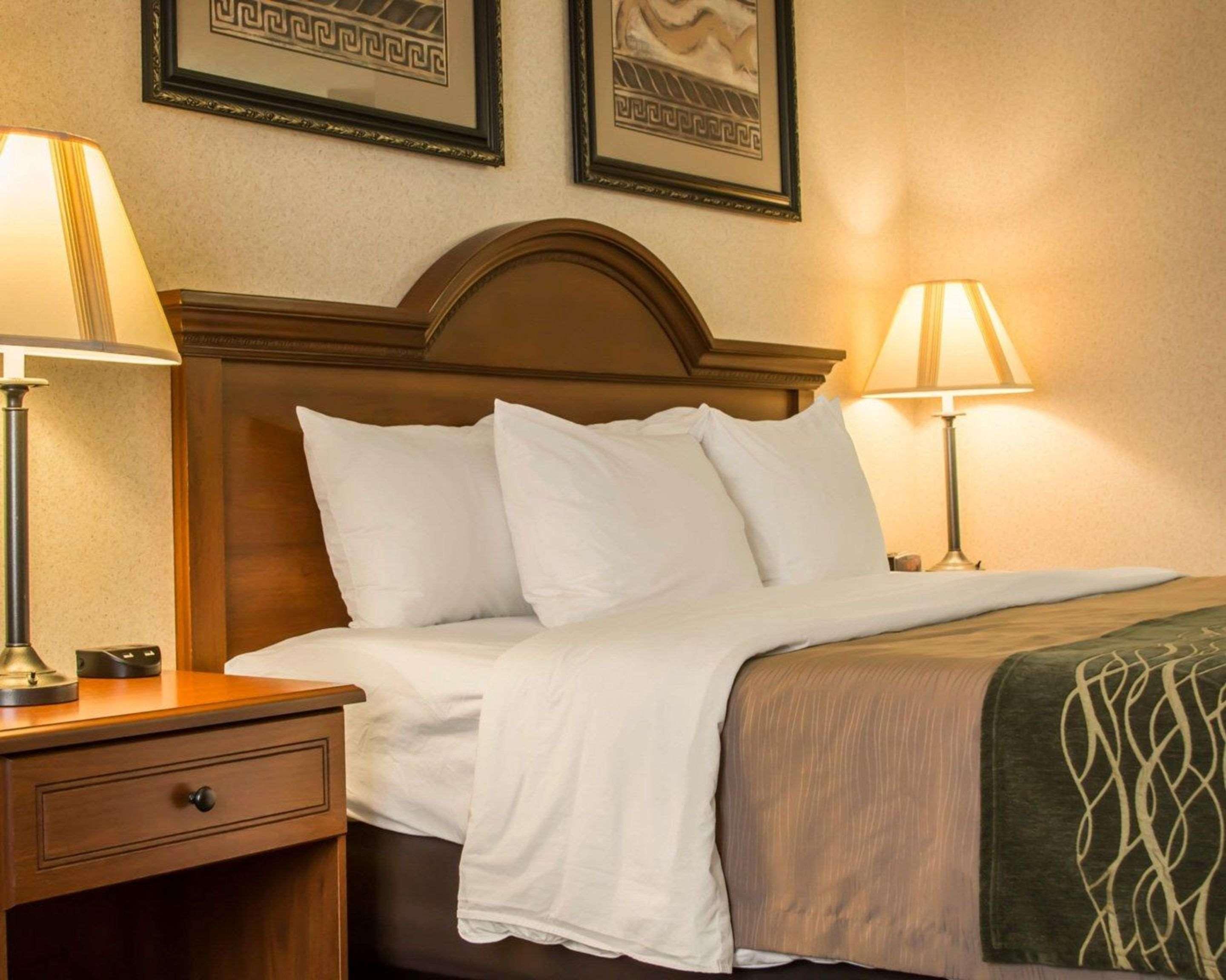 Comfort Inn & Suites Dimondale - Lansing Buitenkant foto