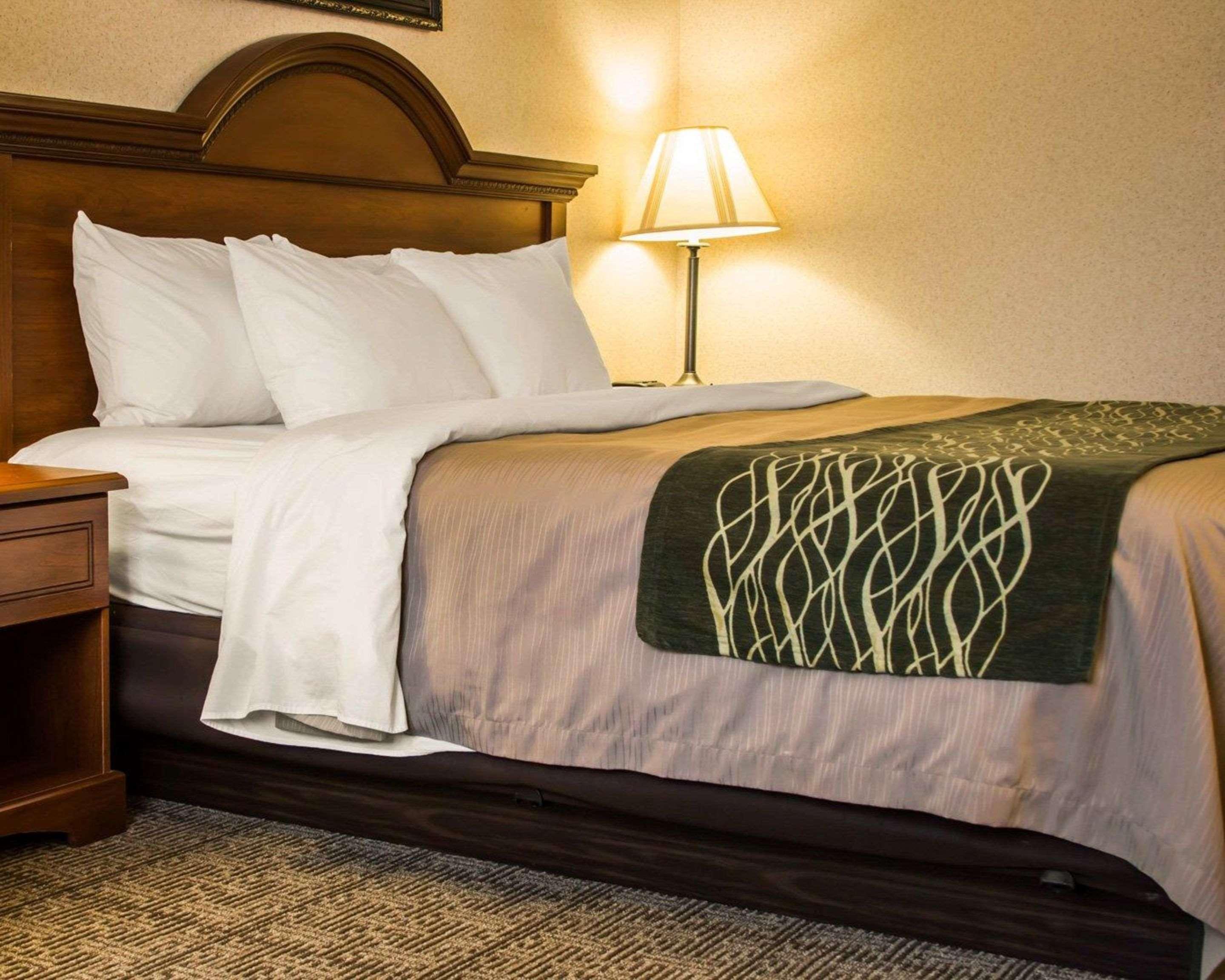 Comfort Inn & Suites Dimondale - Lansing Buitenkant foto