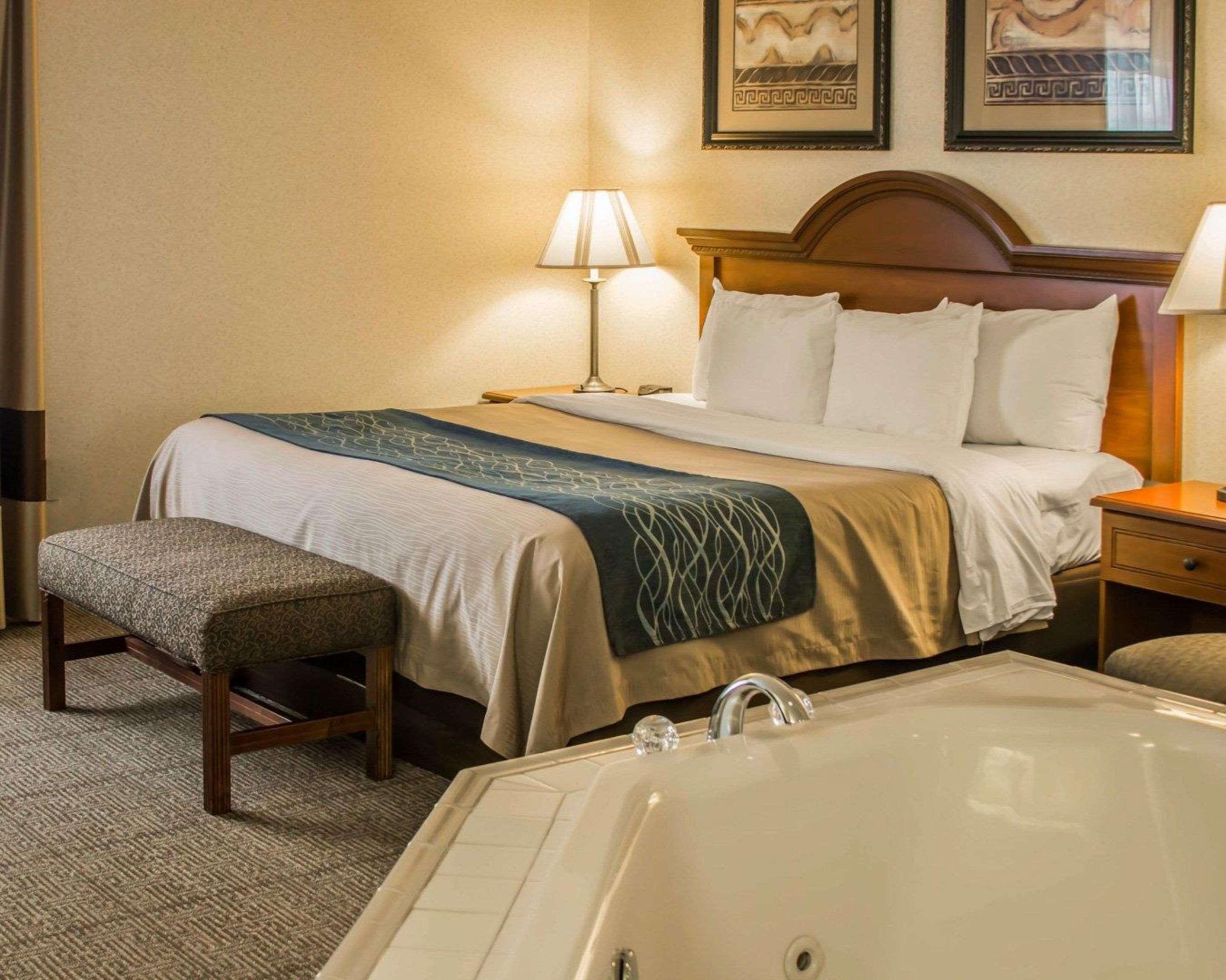 Comfort Inn & Suites Dimondale - Lansing Buitenkant foto