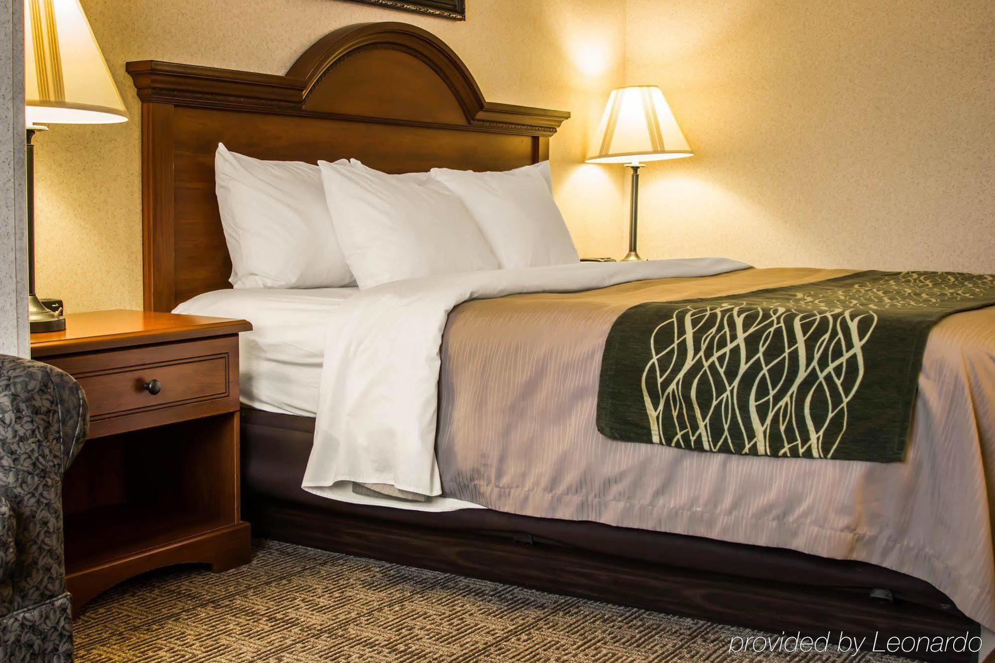 Comfort Inn & Suites Dimondale - Lansing Buitenkant foto