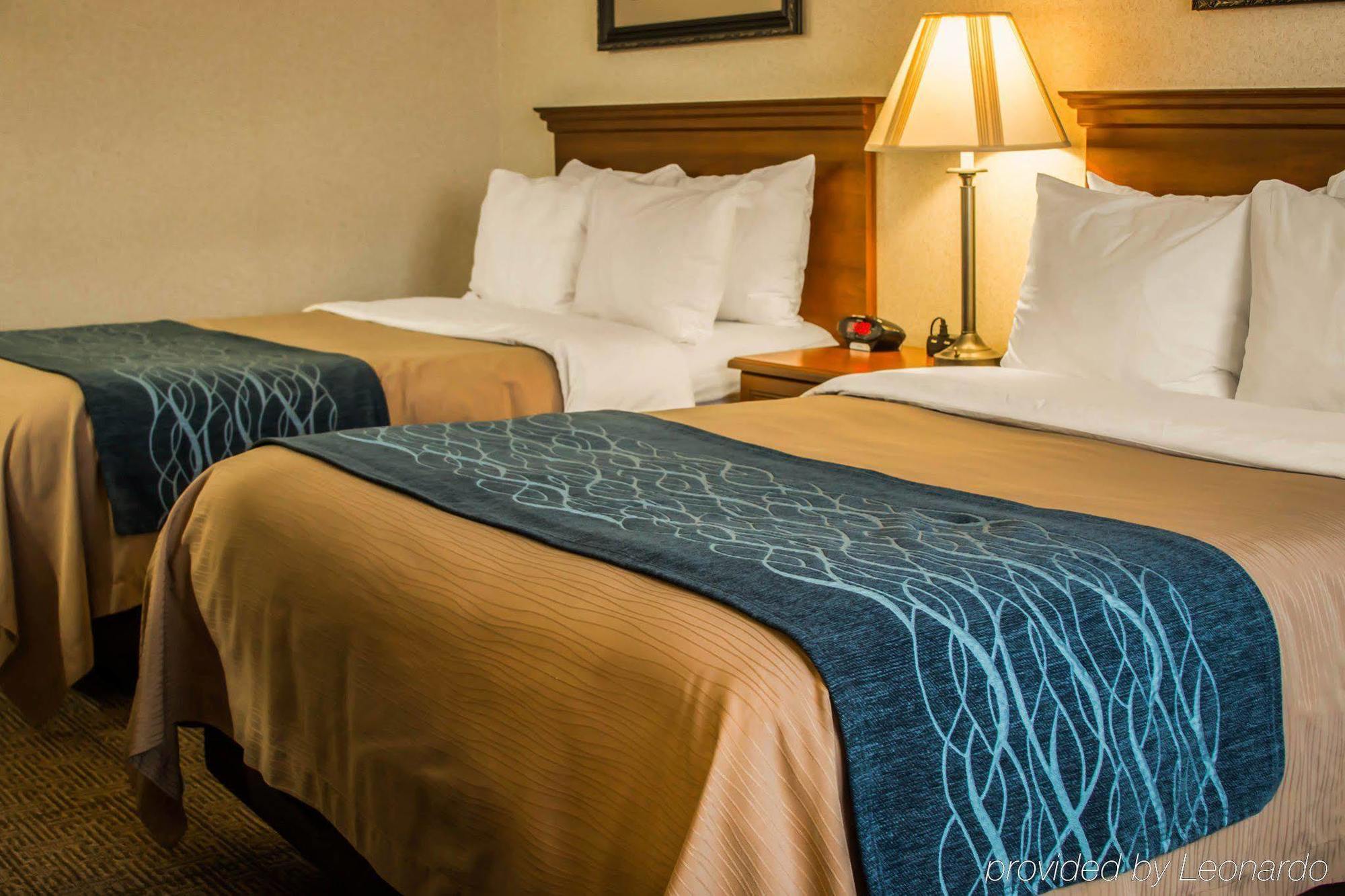 Comfort Inn & Suites Dimondale - Lansing Buitenkant foto