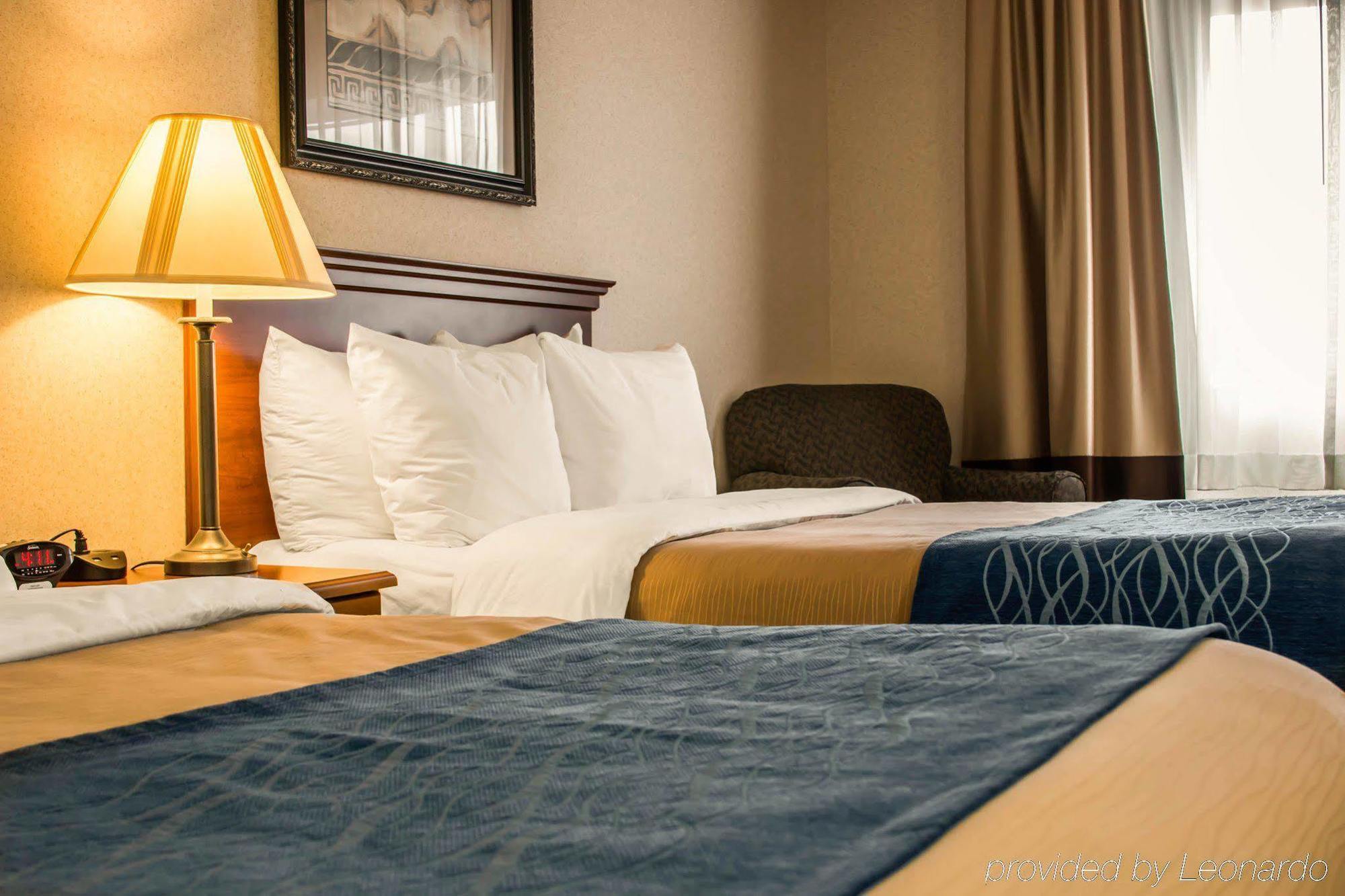 Comfort Inn & Suites Dimondale - Lansing Buitenkant foto