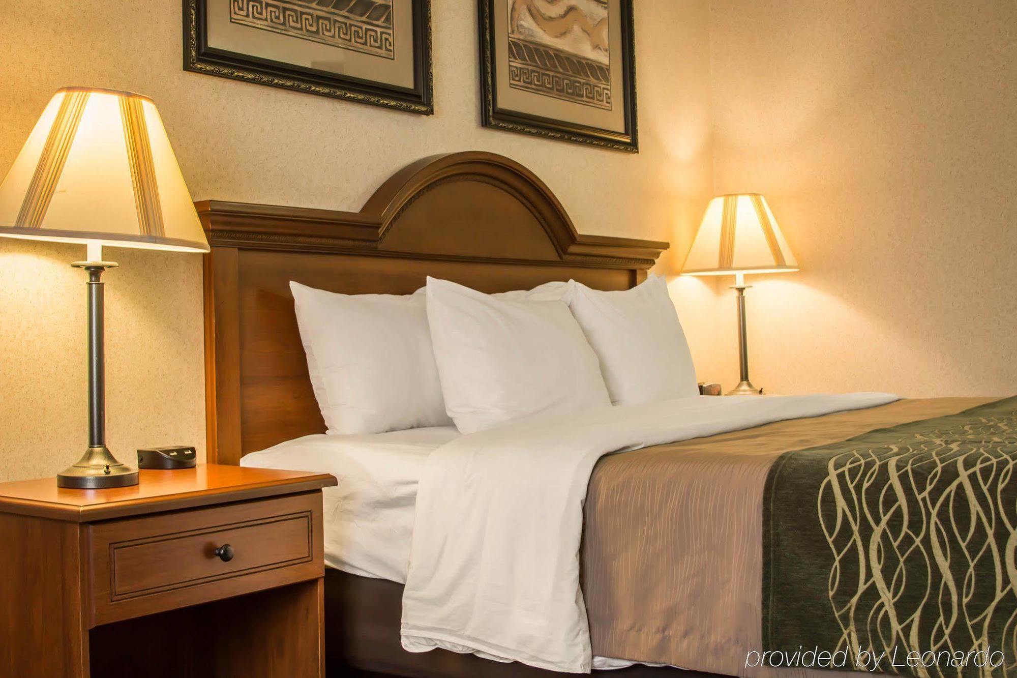 Comfort Inn & Suites Dimondale - Lansing Buitenkant foto